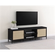 Amherst 2-door 70-inch Metal TV Stand Media Console Black