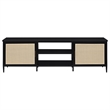 Amherst 2-door 70-inch Metal TV Stand Media Console Black
