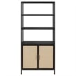 Amherst 3-shelf Radio Weave Cane Metal Accent Cabinet Black