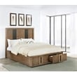 Terrace 2-drawer Queen Storage Bed Ash Brown