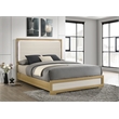 Hyland Wood Queen LED Panel Bed Natural and White