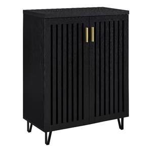 Brixton 2-door Entryway Shoe Storage Cabinets Black