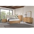 Robyn 5-piece Queen Bedroom Set Light Ash