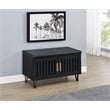 Brixton 2-door Padded Entryway Shoe Storage Bench Black