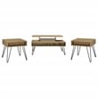 Fanning 3-piece Lift Top Coffee and End Table Set Golden Oak
