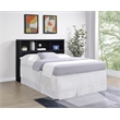 Westpark 49-inch Queen Bookcase Headboard Black