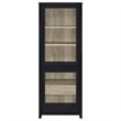 Coaster Denison 67-inch 2-door Engineered Wood Media Tower Cabinet in Black