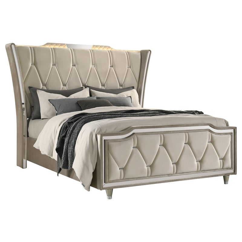 Coaster Lorient Upholstered Velvet Queen LED Wingback Bed in Ivory/Camel