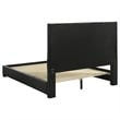 Coaster Medley Transitional Genuine Leather Queen Platform Bed in Black