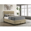 Coaster Wheatland 4-Drawer Fabric Upholstered Full Storage Bed in Brown
