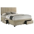 Coaster Wheatland 4-Drawer Fabric Upholstered Queen Storage Bed in Brown