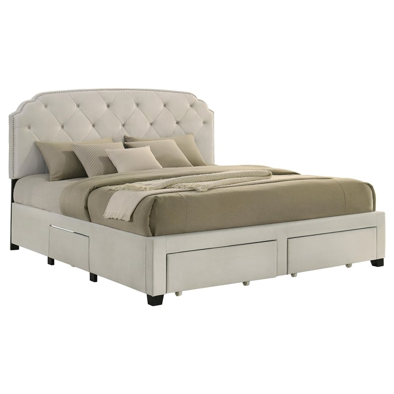 Coaster Marianna 4-Drawer Upholstered Velvet Eastern King Storage Bed in Cream