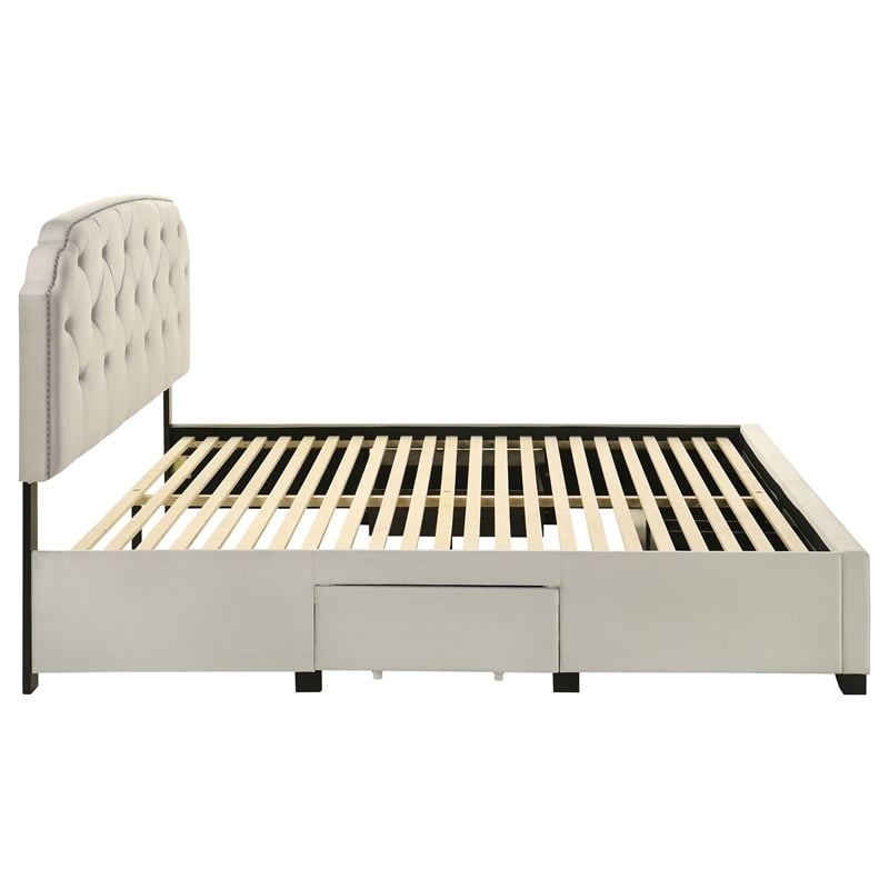 Coaster Marianna 4-Drawer Upholstered Velvet Eastern King Storage Bed in Cream