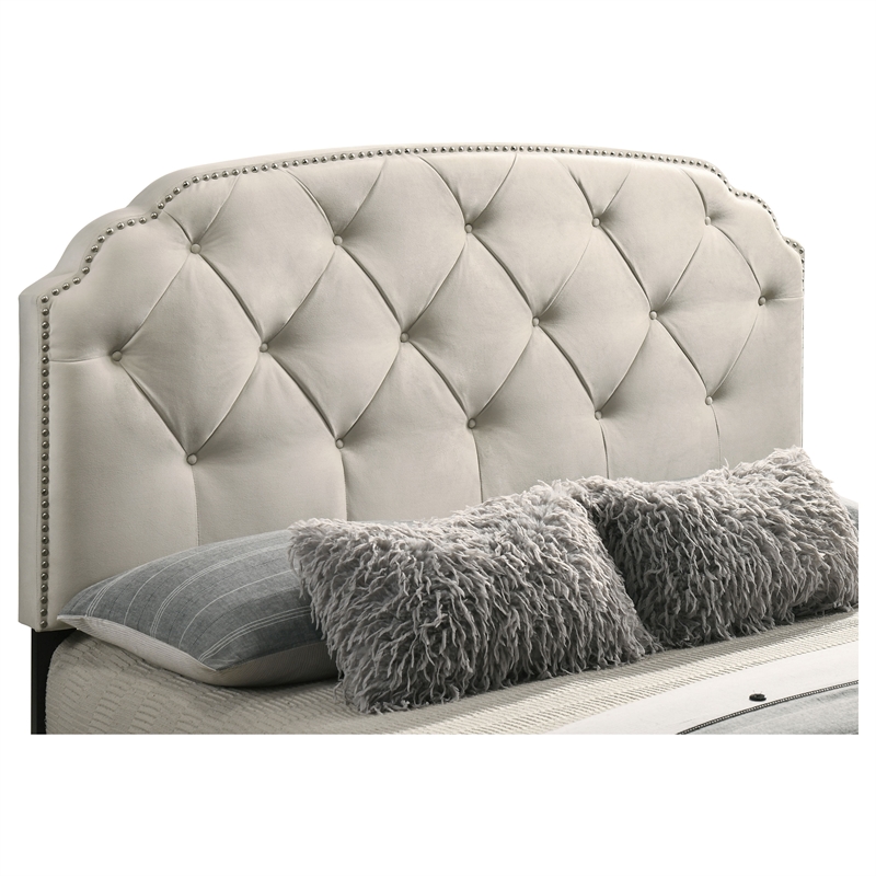 Coaster Marianna 4-Drawer Upholstered Velvet Eastern King Storage Bed in Cream