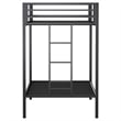 Coaster Alevera Transitional Steel Twin Over Twin Bunk Bed with Ladder in Black