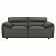 Coaster Buxton Contemporary Padded Top Grain Leather Loveseat in Graphite Gray