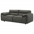 Coaster Buxton Contemporary Padded Top Grain Leather Loveseat in Graphite Gray