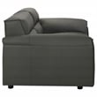 Coaster Buxton Contemporary Padded Top Grain Leather Loveseat in Graphite Gray