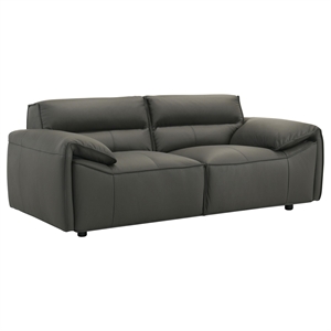 Coaster Buxton Contemporary Padded Top Grain Leather Loveseat in Graphite Gray