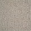 Coaster Islington Transitional Fabric Panel Arm Accent Chair in Taupe