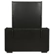 Coaster Leandro 8-drawer Wood Bedroom Dresser with Mirror in Burnished Black