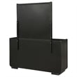 Coaster Leandro 8-drawer Wood Bedroom Dresser with Mirror in Burnished Black