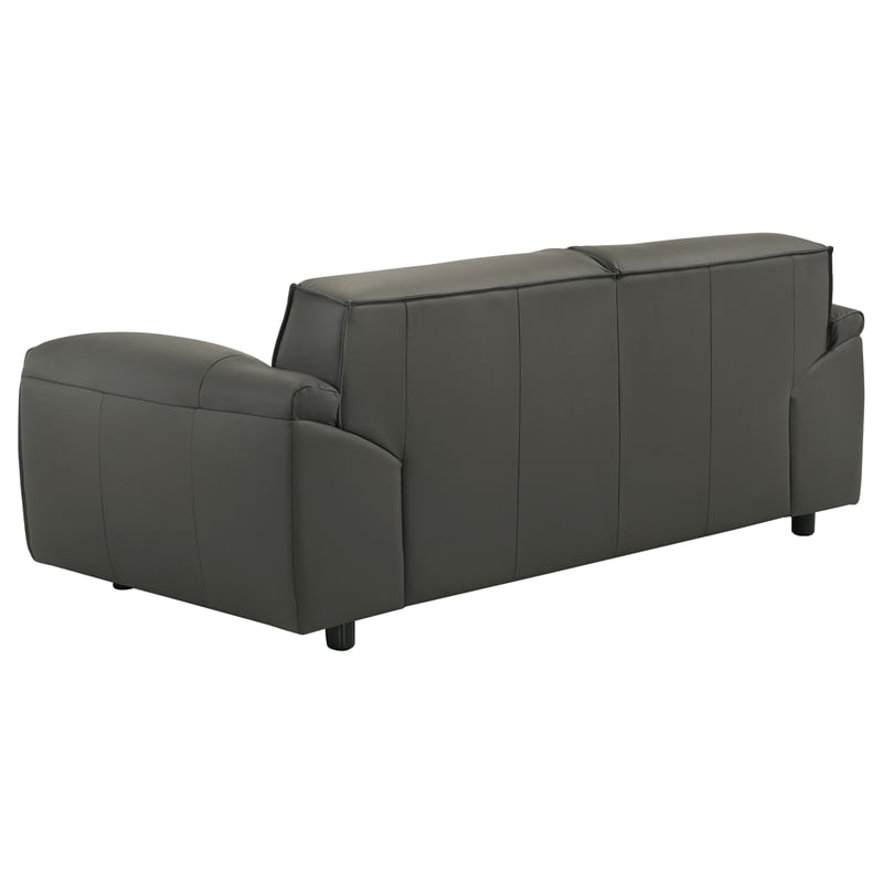 Coaster Buxton 2-Piece Upholstered Leather Sofa Set in Graphite Gray