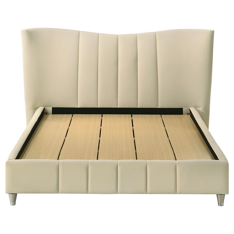Coaster Evelyn Upholstered Velvet Queen Panel Platform Bed in Ivory
