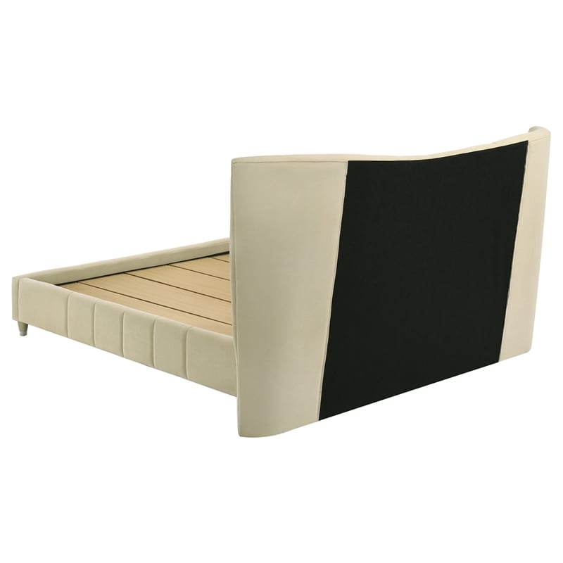 Coaster Evelyn Upholstered Velvet Queen Panel Platform Bed in Ivory