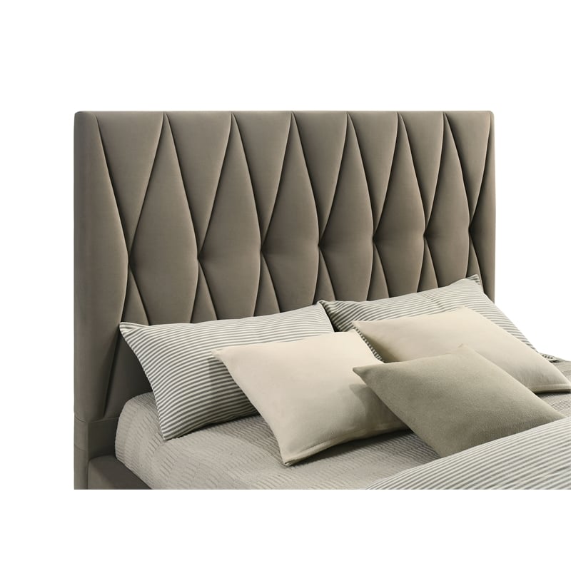 Coaster Delsea Upholstered Velvet Queen Panel Platform Bed in Light Brown