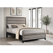 Coaster Watson Transitional Wood Queen Panel Bed in Light Taupe
