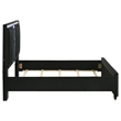 Coaster Ravenne Queen LED Upholstered Velvet Panel Bed in Black