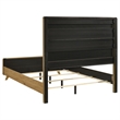 Coaster Bennett Mid-Century Queen Wood Panel Bed in Cream/Light Oak