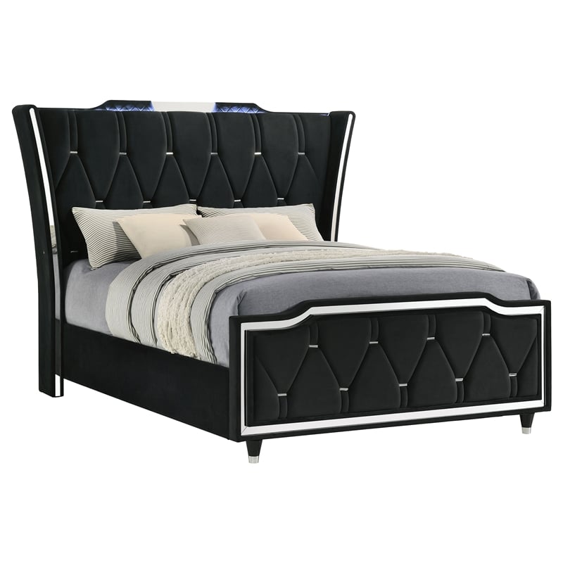 Coaster Lorient Queen LED Upholstered Velvet Wingback Bed in Black