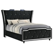 Coaster Lorient Queen LED Upholstered Velvet Wingback Bed in Black