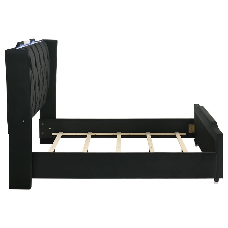 Coaster Lorient Queen LED Upholstered Velvet Wingback Bed in Black