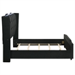 Coaster Lorient Queen LED Upholstered Velvet Wingback Bed in Black