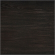 Coaster Leandro 2-Drawer Contemporary Wood Writing Desk in Burnished Black