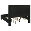 Coaster Ravenne 4-Piece Modern Velvet California King LED Bedroom Set in Black
