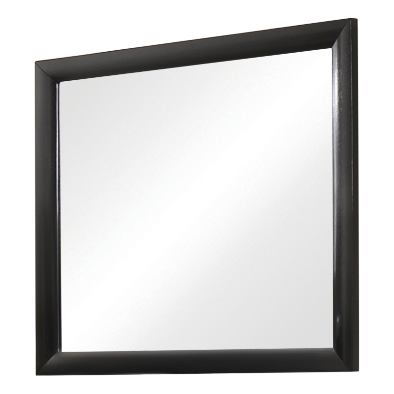 Coaster Briana Contemporary Rectangular Wood Mirror in Black