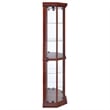 Appledale 6-shelf Corner Curio Display Cabinet Medium Brown