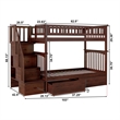AFI Columbia Twin Over Twin Solid Wood Staircase Storage Bunk Bed in Walnut