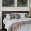 Orlando Full Modern Wood Panel Headboard in Espresso
