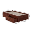 Concord Twin XL Platform Bed with Footboard & 2 Storage Drawers in Walnut