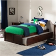 AFI Concord Urban Twin Trundle Solid Wood Platform Bed in Walnut