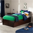 AFI Concord Urban Twin Trundle Solid Wood Platform Bed in Walnut
