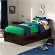 AFI Concord Urban Twin Solid Wood Storage Platform Bed in Walnut