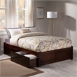 AFI Concord Urban Queen Storage Wood Platform Bed with Footboard & 2 Drawers in Walnut