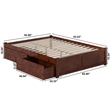 AFI Concord Urban Queen Storage Wood Platform Bed with Footboard & 2 Drawers in Walnut