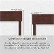 Orlando Full Wood Platform Bed with Footboard and Storage Drawers in Walnut